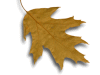 Captcha image 4864