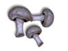 Captcha image 6801