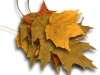 Captcha image 2975
