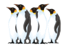 Captcha image 9994